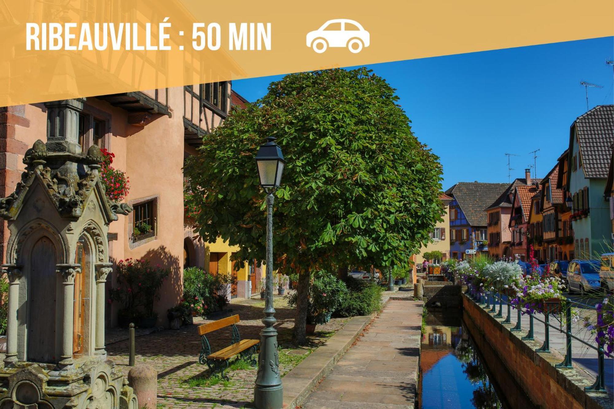 Lit Rond Tres Grand Et Confortable - Garage Possible Ou Parking Gratuit Rue - Gare 2 Min Et Ville 4 Min En Tram - Ciel Etoile - Netflix Videoprojecteur - Luxe Et Evasion Strasbourg Luaran gambar