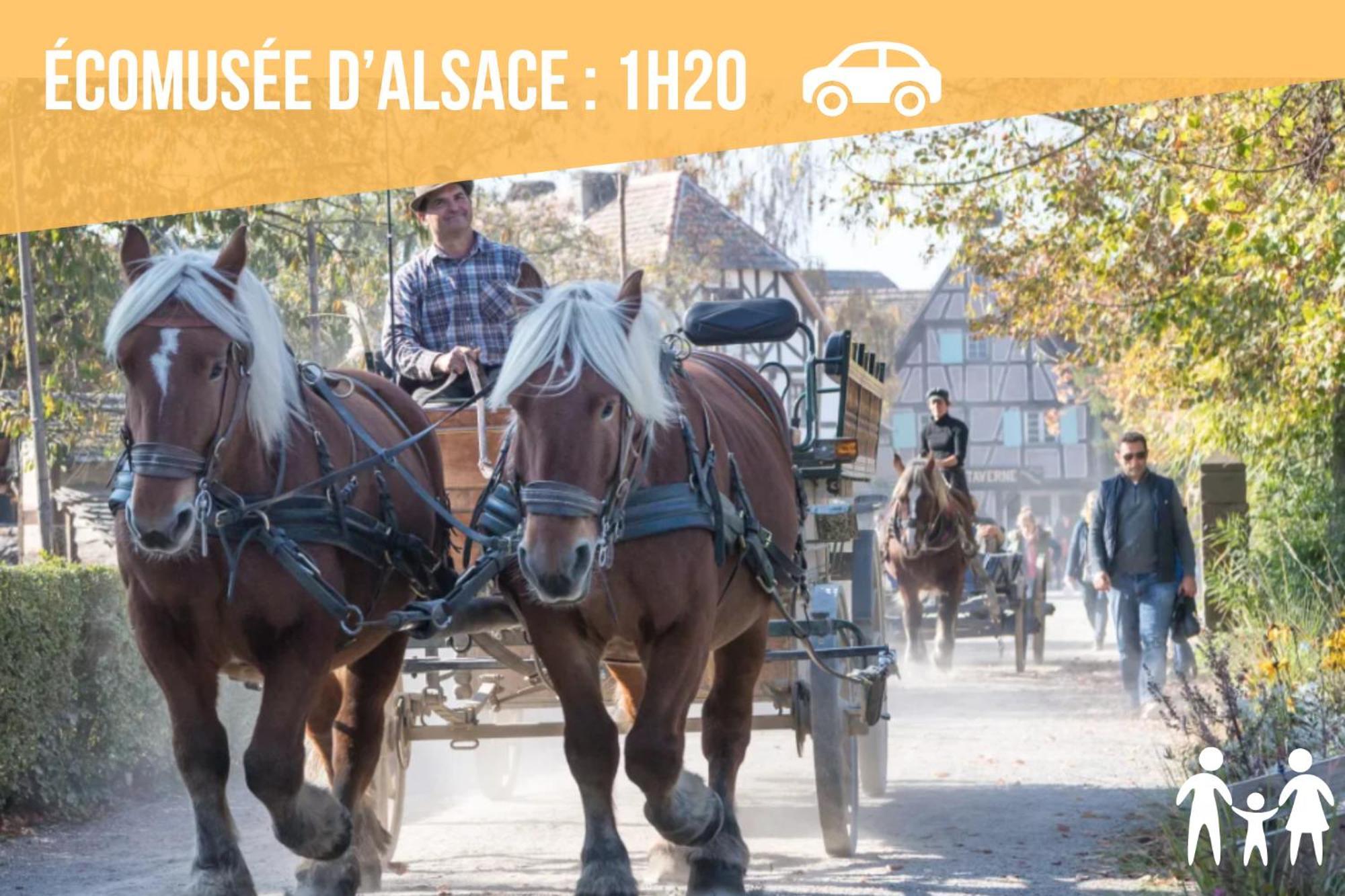 Lit Rond Tres Grand Et Confortable - Garage Possible Ou Parking Gratuit Rue - Gare 2 Min Et Ville 4 Min En Tram - Ciel Etoile - Netflix Videoprojecteur - Luxe Et Evasion Strasbourg Luaran gambar