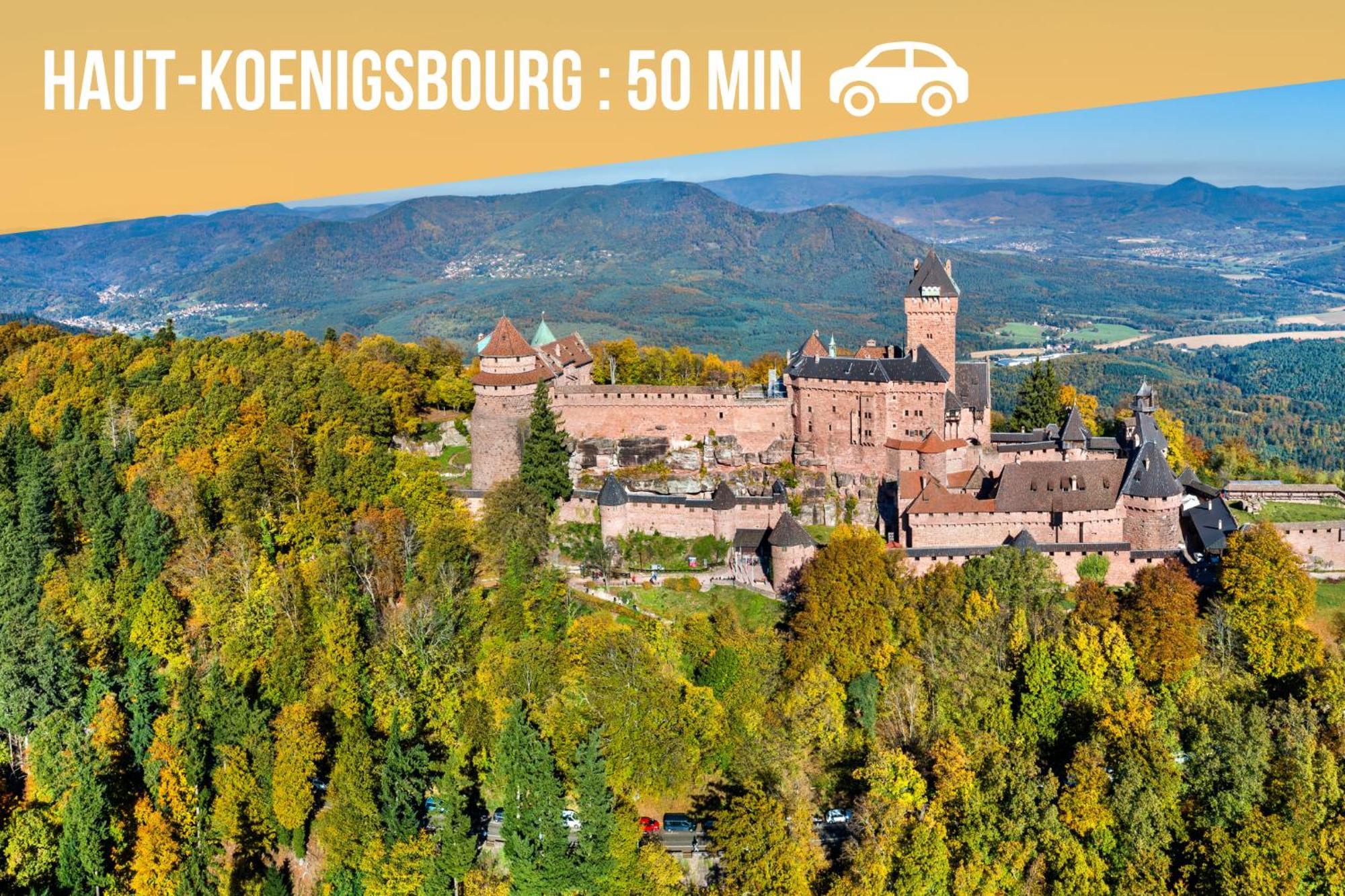 Lit Rond Tres Grand Et Confortable - Garage Possible Ou Parking Gratuit Rue - Gare 2 Min Et Ville 4 Min En Tram - Ciel Etoile - Netflix Videoprojecteur - Luxe Et Evasion Strasbourg Luaran gambar