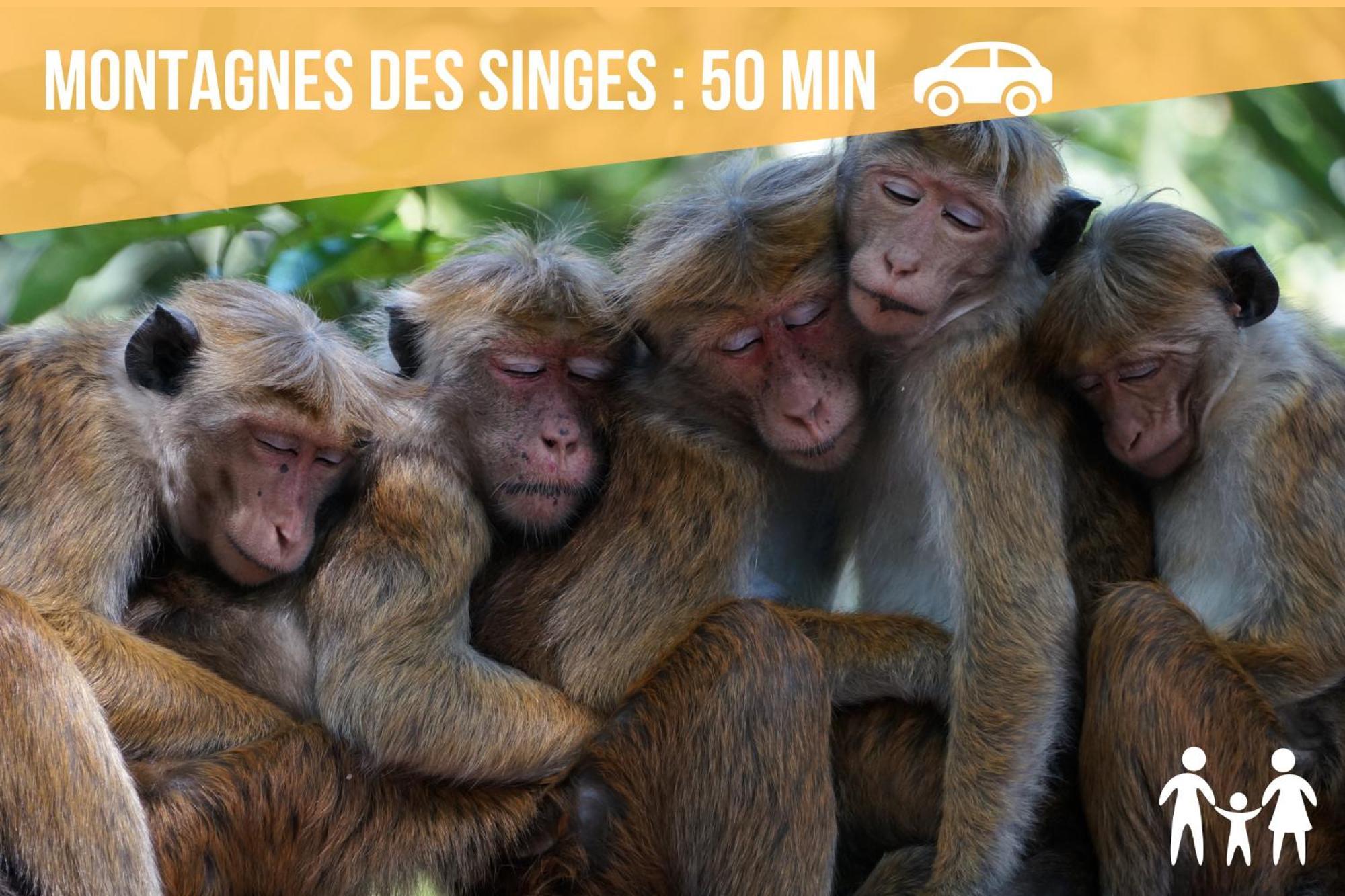 Lit Rond Tres Grand Et Confortable - Garage Possible Ou Parking Gratuit Rue - Gare 2 Min Et Ville 4 Min En Tram - Ciel Etoile - Netflix Videoprojecteur - Luxe Et Evasion Strasbourg Luaran gambar